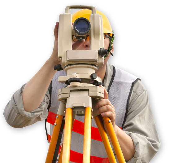 About Survey